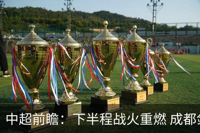 中超前瞻：下半程战火重燃 成都剑指三分申花求反弹